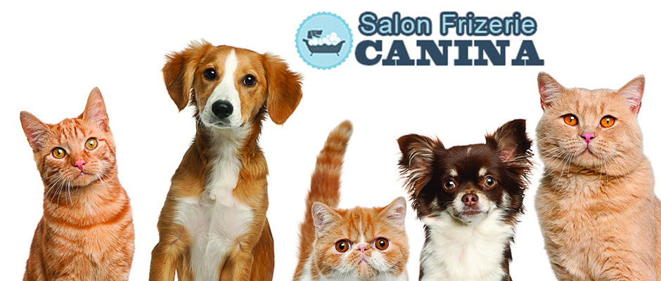 Salon Frizerie Canina