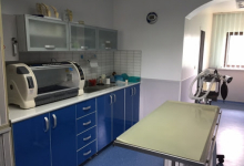 Salon Frizerie Canina Buzau Frizerie Canina Buzau - HelpVet