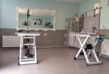 Salon Frizerie Canina Arad DoggyDog - Pet Salon by Adina